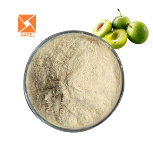 Polvere di Succo di Prugna Verde Naturale, Concentrato Puro di Frutta in Polvere - Product Image 1