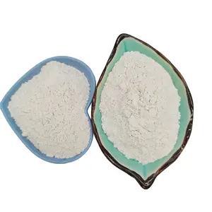 Argile de bentonite sodique/Calcium, poudre de bentonite organique, prix