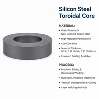 Noyau toroïdal sur mesure à faible vibration en acier au silicium pour transformateur audio Hi-Fi