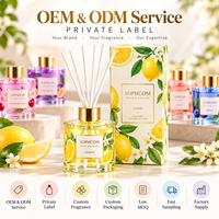 Salle de bain surdimensionnée personnalisable de qualité supérieure pour diffuseur de roseau Parfum de cheveux du fournisseur unique de qualité supérieure Verre coloré parfumé DIY