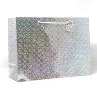 Sacs cadeaux en papier holographique colorés avec poignées pour l'emballage de vêtements et de chaussures, fabriqués par une entreprise réputée de sacs de shopping