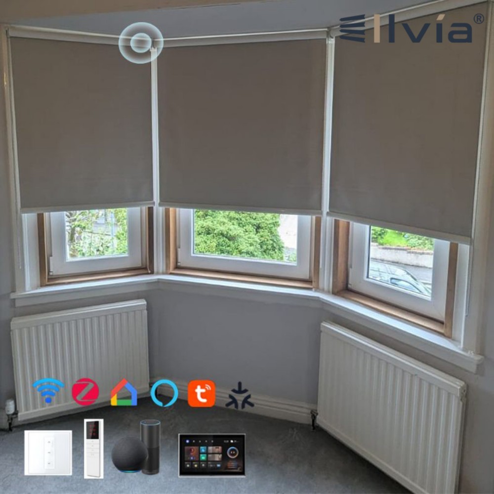 Motorized Tuya Zigbee Smart Roller Shades With Remote Control Blackout Smart Blinds Rechargeable Electric Roller Blind