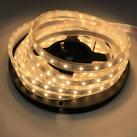 Bandes lumineuses LED 12V 24V 10W 3000K en silicone imperméable IP68 IP67 pour escaliers et bâtiments