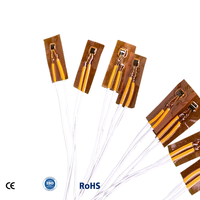 Sensor Suhu RTD PT100 Kapton Kawat Tahan Suhu Tinggi Berlapis Perak dengan Pelindung PTFE Tipis