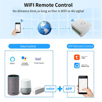 Tuya Wifi Zigbee Pas de neutre Relais 2 voies Maison intelligente Hôtel Module mural Interrupteur intelligent