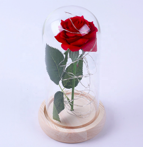 Cadeaux de <span class=keywords><strong>la</strong></span> Saint-Valentin en gros, roses éternelles conservées dans un dôme en verre - Product Image 1