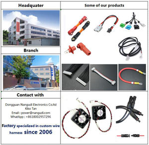 Op maat gemaakte PVC geïsoleerde kabelassemblage fabrikant's JST 2 4 8-pins 4,8 mm 6,3 mm Faston terminal voor vrachtwagens en motorfietsen - Product Image 2
