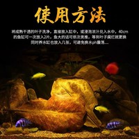 Feuilles de Catappa (Amande d'Inde) pour aquarium – Réduction du pH pour poissons tropicaux, Betta, Arowana, tortues, crevettes et plantes aquatiques – PKY