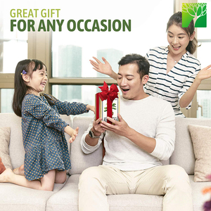 Mini kit <span class=keywords><strong>de</strong></span> culture biodégradable Ensemble d'arbres originaux pour la maison et le jardin Pépinière Feuille d'érable <span class=keywords><strong>Orme</strong></span> Genévrier Topaze-pour cultiver la vôtre! - Product Image 4