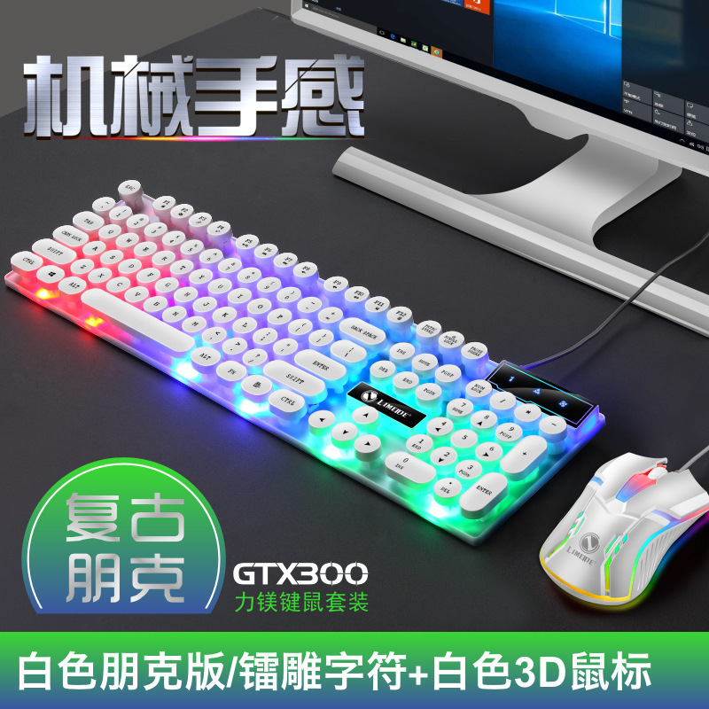 Ensemble Punk GTX300 blanc