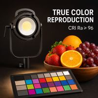 FY-300X 300W Éclairage vidéo LED avec contrôle par application, CRI élevé Ra96, température de couleur réglable, prix usine de gros pour le cinéma