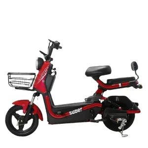 Good Quality Adult 2 Wheel E Bike Cycle Charging Electric Bicycle