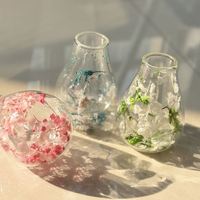 Tasse à café et à thé en verre borosilicate double paroi, design simple avec fleurs séchées, résistante à la chaleur, pour la maison
