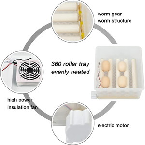 Cung cấp năng lượng kép Máy ấp trứng hoàn toàn tự động Máy ấp trứng thd176 cho tất cả trứng gà vịt gà tây ngỗng - Product Image 4