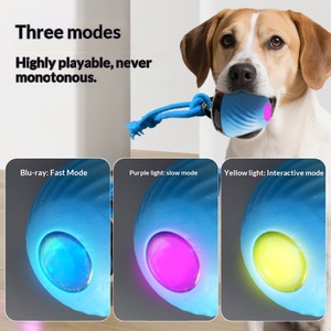 Palla Elettrica Semplice in TPR per Cani, Giocattolo da Masticare Ricaricabile USB, Intelligente e Auto-Intrattenente per Cani - Product Image 6