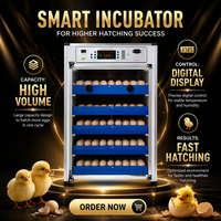 Incubateur industriel de 300 œufs pour l'éclosion de poulets/canards/dindes/oies/autruches (retournement automatique des œufs 220V)