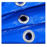 Bâche multi-usages enduite de PE, toile imperméable pour jardin, auvent extérieur, voile d'ombrage, bâche de protection pour bateau, camion, abri pour animaux de compagnie