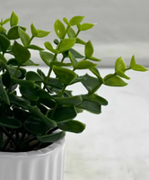 Mini-plantes artificielles en pot en PE, feuilles d'herbe verte – Écologiques, haute simulation pour la décoration de Noël, de la maison et du bureau