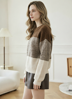 Pull en tricot colorblock confortable - Coupe ample et décontractée, texture douce et rayures tendance pour un look chic automne/hiver.