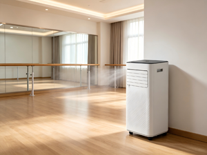 Climatiseur portable facile à installer, polyvalent et écoénergétique avec technologie ultra-silencieuse, refroidissement écoénergétique qui fait des économies - Product Image 3