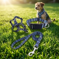 Set Tali Anjing Cetak Sablon Sutra Ramah Lingkungan Mewah Gaya Barat untuk Anjing Berukuran Kecil dan Sedang Bahan Poliester