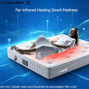 Colchón Inteligente con Calefacción Infrarroja y Control de Temperatura de 3 Niveles y Zonas, Tamaño Personalizado, OEM, Muebles de Dormitorio de Lujo, AS-SM04(150) - Product Image 1