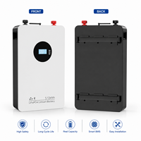 51.2V 100Ah 5.12kWh Baterai Penyimpanan Energi Rumah LiFePO4 Terpasang di Dinding Solar ESS dengan Smart BMS Komunikasi Bluetooth OEM ODM