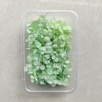 Grosir bunga hydrangea asli lilin aromaterapi bahan DIY bunga Pres kering untuk seni resin dan dekorasi kuku