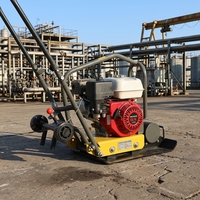 Compacteur à plaque vibrante C60 à moteur essence avec roulement, facile à utiliser pour le compactage du sol et la construction routière, moment de charge élevé