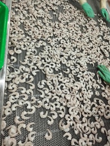 Camarones Blancos Congelados de Vietnam de Alta Calidad, Vannamei, Semillas Vivas, Camarones Procesados, Empaquetado a Granel, <span class=keywords><strong>Precio</strong></span> Original al por Mayor - Product Image 2