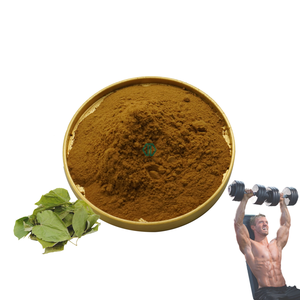 Contoh gratis ekstrak <span class=keywords><strong>Epimedium</strong></span> <span class=keywords><strong>Sagittatum</strong></span> ekstrak tanaman <span class=keywords><strong>Natural</strong></span> Grade makanan 10% Icariin - Product Image 3