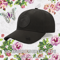 Gorra Deportiva de Béisbol Unisex Personalizada con Logotipo Bordado en 3D, Ajustable, de 6 Paneles, de Tela Oxford Terry, con Diseño de Leopardo y Letras