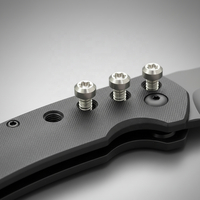 Vis métriques M2.5 en acier forgé à froid sur mesure avec tête Torx chanfreinée pour poignée de couteau pliant, par fabricant OEM