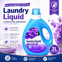 Détergent liquide pour lessive écologique personnalisé OEM/ODM, protection des couleurs et élimination des taches pour tissus, prix d'usine et marque privée