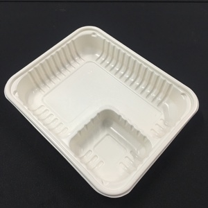 Disposable Plastic black clear meat/chicken fruit/ frozen tray lunch tray 2 compartment food tray Z2 nacho tray