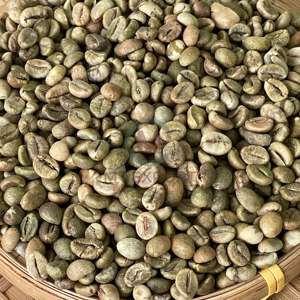 Grano de café verde Robusta 100% tamaño 16 granos de café crudos uso industrial en café tostado 95% Bolsa De yute de madurez - Product Image 4