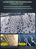 Nano revêtement céramique pour voiture Liquide Coatin Nano Crystal Hydrophobe Couche Polissage Peinture Agent Polissage pour voiture Nanos Coatings