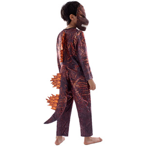 Disfraz de Cosplay para Niños de 8 a 13 Años, Diseño de Fuego, Ropa de Actuación, Tela de Poliéster, Otoño 2023 - Product Image 2