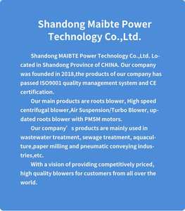 Bomba <span class=keywords><strong>de</strong></span> Vacío <span class=keywords><strong>de</strong></span> Lóbulos Triples <span class=keywords><strong>de</strong></span> Alta Presión con Transmisión por Correa <span class=keywords><strong>de</strong></span> CA Eléctrica, Calidad Confiable a <span class=keywords><strong>Precio</strong></span> <span class=keywords><strong>de</strong></span> Fábrica, OEM <span class=keywords><strong>de</strong></span> Hierro Fundido <span class=keywords><strong>para</strong></span> - Product Image 6