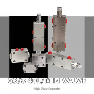 G3/8 40L/min Einfachwirkendes Extern Pilotgesteuertes Druckausgleichendes Hydraulisches Richtungssteuerventil 31,5 <span class=keywords><strong>MPa</strong></span> - Product Image 2
