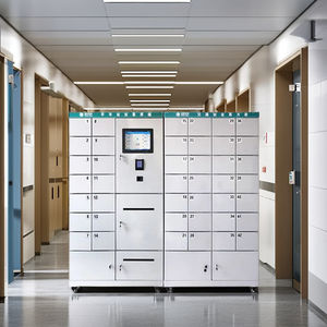 Casillero Metálico Inteligente para Escuela, Gimnasio, Lavandería, Playa - Acceso Electrónico con Código, Código de Barras y Huella Dactilar - Product Image 1