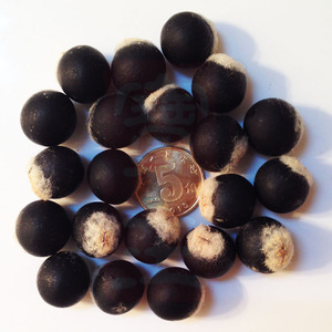 Wuhuanzi Hạt Xà Phòng Khô Nguyên Chất Màu Đen Tự Nhiên Mới - Product Image 3