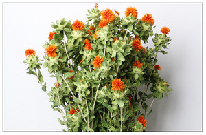 O-X212 <span class=keywords><strong>Flores</strong></span> Secas <span class=keywords><strong>Naturales</strong></span> <span class=keywords><strong>al</strong></span> por Mayor, Piña Naranja, <span class=keywords><strong>Flores</strong></span> Secas <span class=keywords><strong>de</strong></span> Cártamo en Oferta, Ramo <span class=keywords><strong>de</strong></span> Crisantemos Secos - Product Image 6