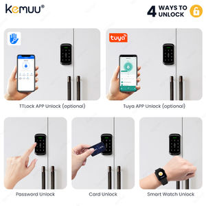 Serrure intelligente pour l'accès à la carte APP/PIN/RFID de l'Asie du Sud-Est conception antirouille logo OEM accepté avec livraison d'échantillon en 7 jours - Product Image 2