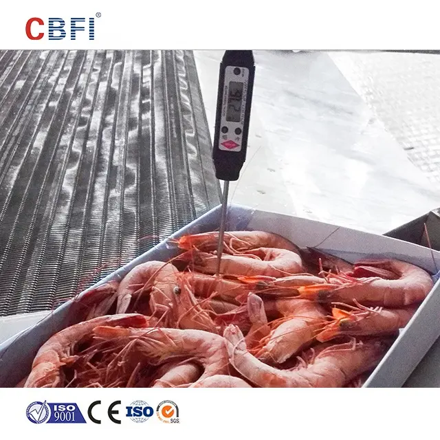 Air Cooler IQF Tunnel Freezer for South American White Shrimp With High Quality Ecuador