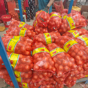 Cebolla Roja <span class=keywords><strong>de</strong></span> Calidad Garantizada, Cosecha Fresca, Bawang Merah, Bawang <span class=keywords><strong>Bombay</strong></span>, Exportación <span class=keywords><strong>de</strong></span> China, Proveedor <span class=keywords><strong>de</strong></span> Cebollas con Tiempo <span class=keywords><strong>de</strong></span> Entrega Rápido - Product Image 4