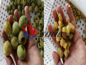 Machine de dénoyautage de pruneau de service <span class=keywords><strong>professionnel</strong></span> Machine de dénoyautage de fruits de date Machine de dénoyautage de prune Pitter de cerise - Product Image 6