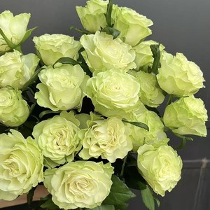 Rosas Coloridas <span class=keywords><strong>de</strong></span> Alta Calidad Grado AB <span class=keywords><strong>de</strong></span> Kunming, Yunnan, Decoración para Bodas, Flores Frescas al por Mayor, Envío Directo Disponible - Product Image 3
