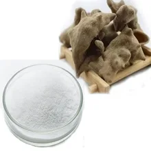 lGallnut Extract Gallic Acid Price on sell