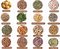 Fabrikpreis Yin Xing Ye Chinesisches Naturkraut Premium Getrocknetes Ginkgo Biloba Blattpulver